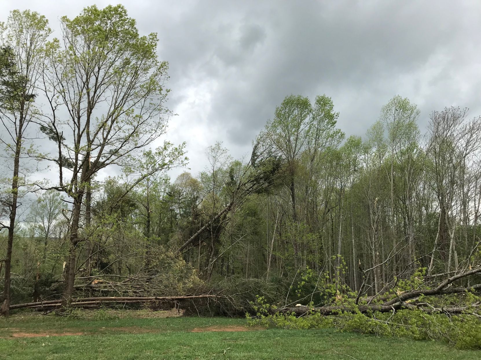 STORM_park